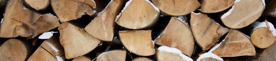 The Importance of Burning Seasoned Wood